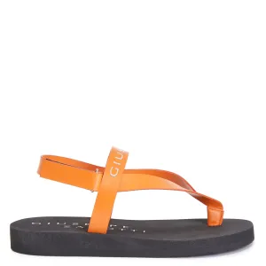 Giuseppe Zanotti Khais