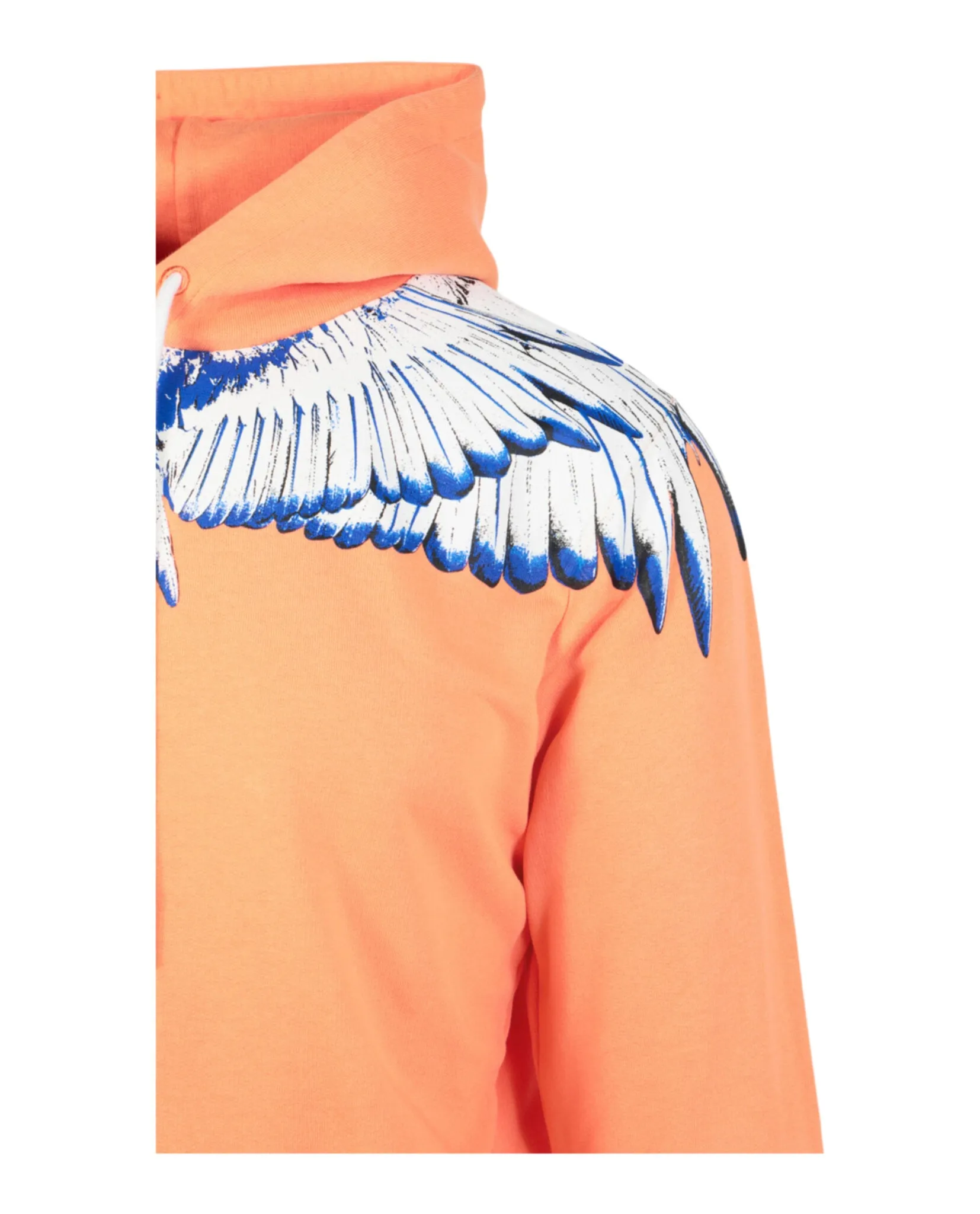 Icon Wings Hoodie